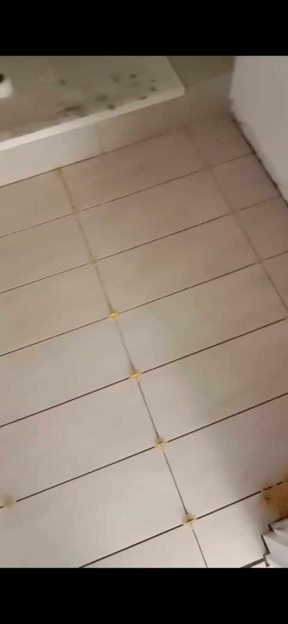 Sher Tile & Marble